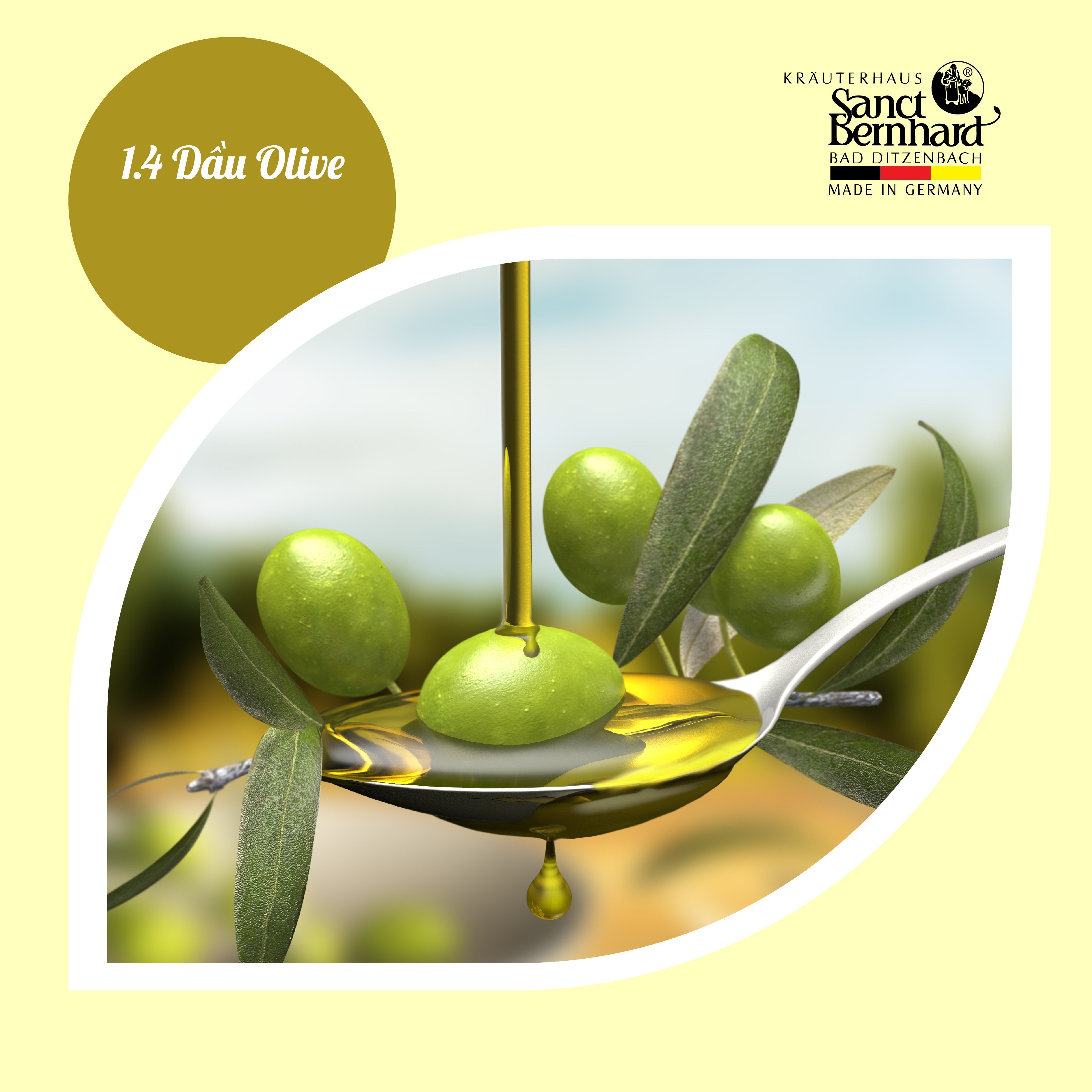 Dầu Olive giúp chống viêm hiệu quả